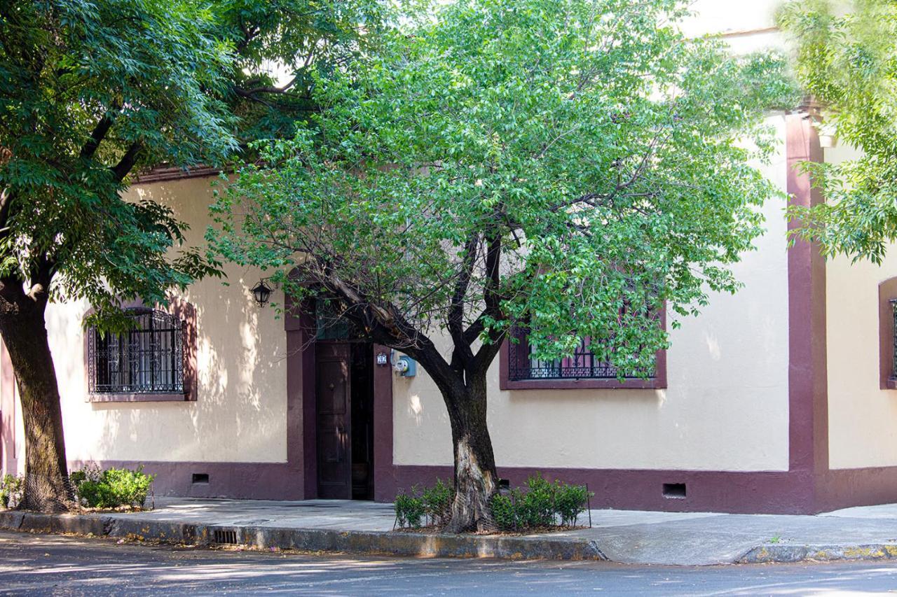 Meztli: Casa Boutique & Spa México DF Exterior foto